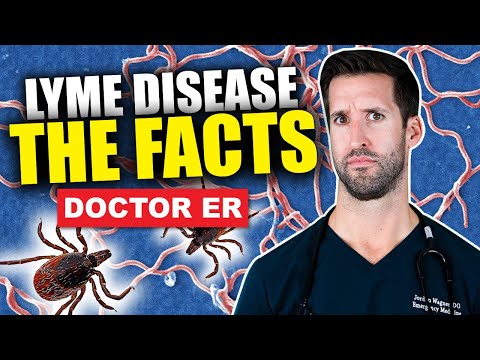 What Is Lyme Disease? Signs and Symptoms of Untreated Lyme Disease in Humans | Doctor ER