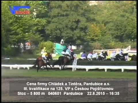 22. 8. 2015 - 7. dostih - Cena firmy Chládek a Tintěra a.s. - III. kvalifikace na 125. VP s Čp