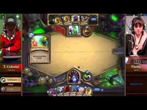 Hearthstone: World Championship 2014 Finals at Blizzcon