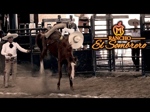 Mare Riding at Rancho El Sombrero 2024, January 25th