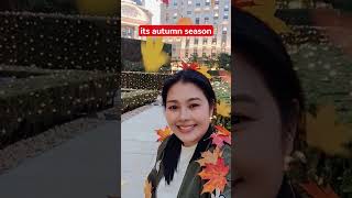 Download lagu its autumn season #video #viral #viralvideo #youtubeshorts #ytshorts #shortvideo #subscribe #views mp3