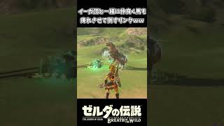 【ブレワイ】イーガ団と一緒に馬も痺れさせるリンク【ゼルダの伝説 ブレス オブ ザ ワイルド】