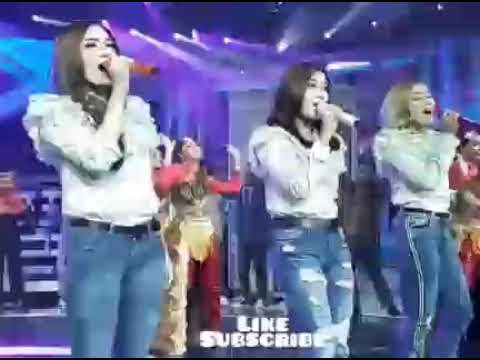 Trio macan vs Duo Amor di kilau Dmd