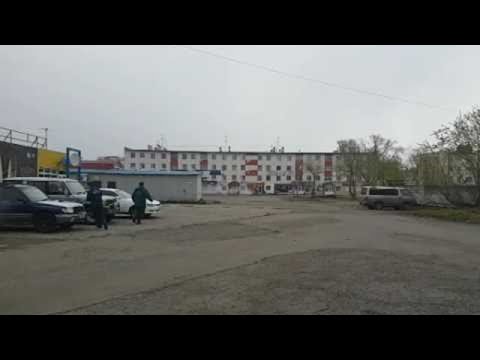 Police Respond to Bear in Russia || ViralHog