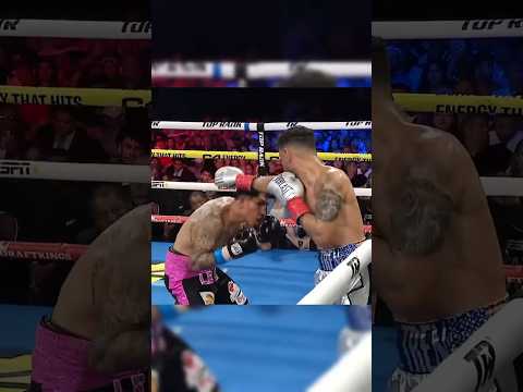 Feint – Down – L Uppercut 🥊💀 #boxing #boxer #mma #martialarts #fighter #ufc #muaythai