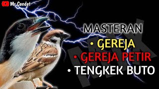 Download lagu MASTERAN CENDET TEMBAKAN || GEREJA, GEREJA PETIR, TENGKEK BUTO !! mp3