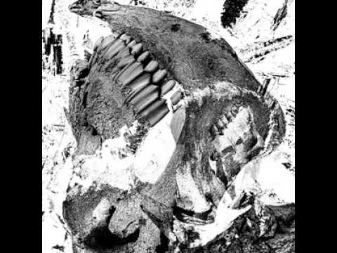 Daniel Menche - Polarizer (Full Album)