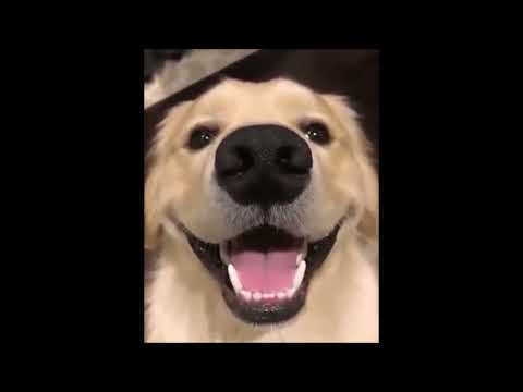 Modestep // Coldplay - Paradise (Cover)