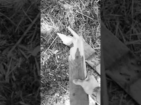 Episode 13'e övgü.                           Müzik:Episode 13 - Pitch Black