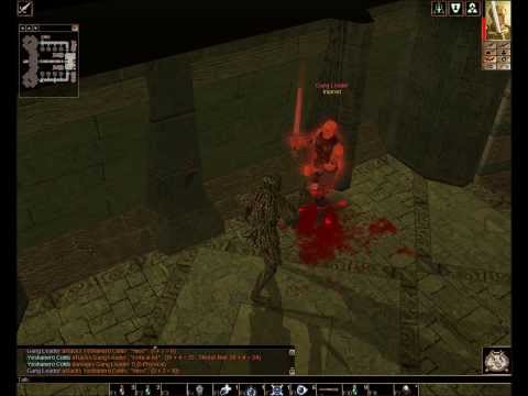 LP NWN Paladin 008_02 Fighting Gang Leader & Return to Tanglebrook