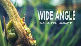 Laowa 15mm f/4.5 0.5X Wide Angle Macro Lens – Full Review!