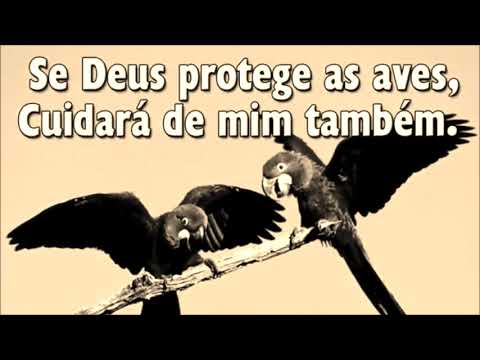 371  Cuidará de Mim Também Hinário Adventista com legenda