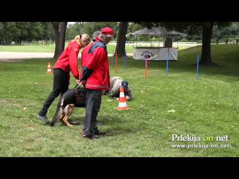 Regijsko preverjanje usposobljenosti ekip prve pomoči