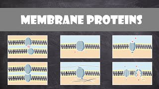 Membrane Proteins