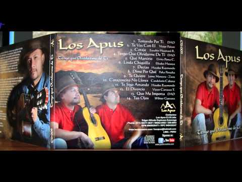Corazoncito - Los Apus