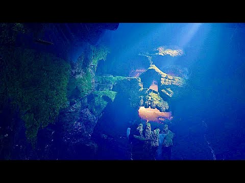 Grasp of Avarice / Gunslinger | Destiny OST Mashup