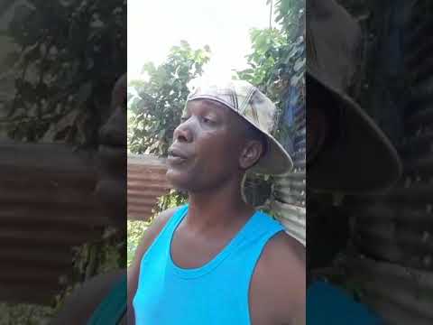 Mickey Tenna, Tenner saw Younger brother