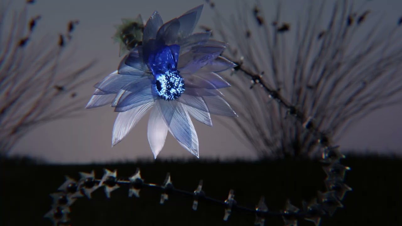 MeshBloom showreel