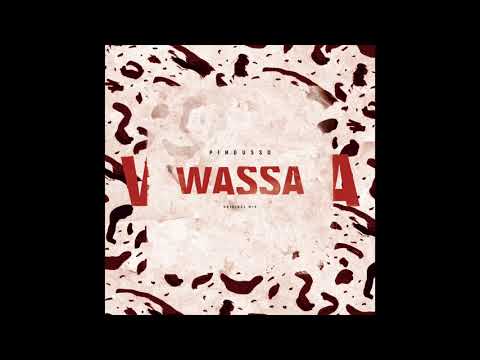 DJ Pingusso - Wassa (Original mix) Teaser