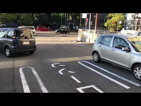 IUCN分類における絶滅の危険性を示す図。