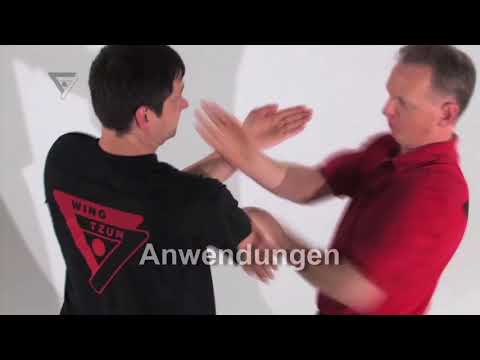 Die komplette 2. Sektion Biu Tze Chi Sao