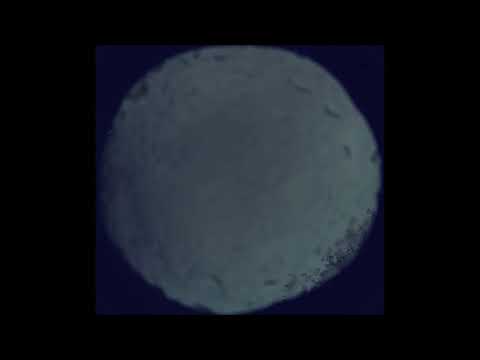 ZWO183MC AllSkEye Martinsburg WV 220507 - Like Icarus We Fly by Ethan Martin feat. Frida Winsth