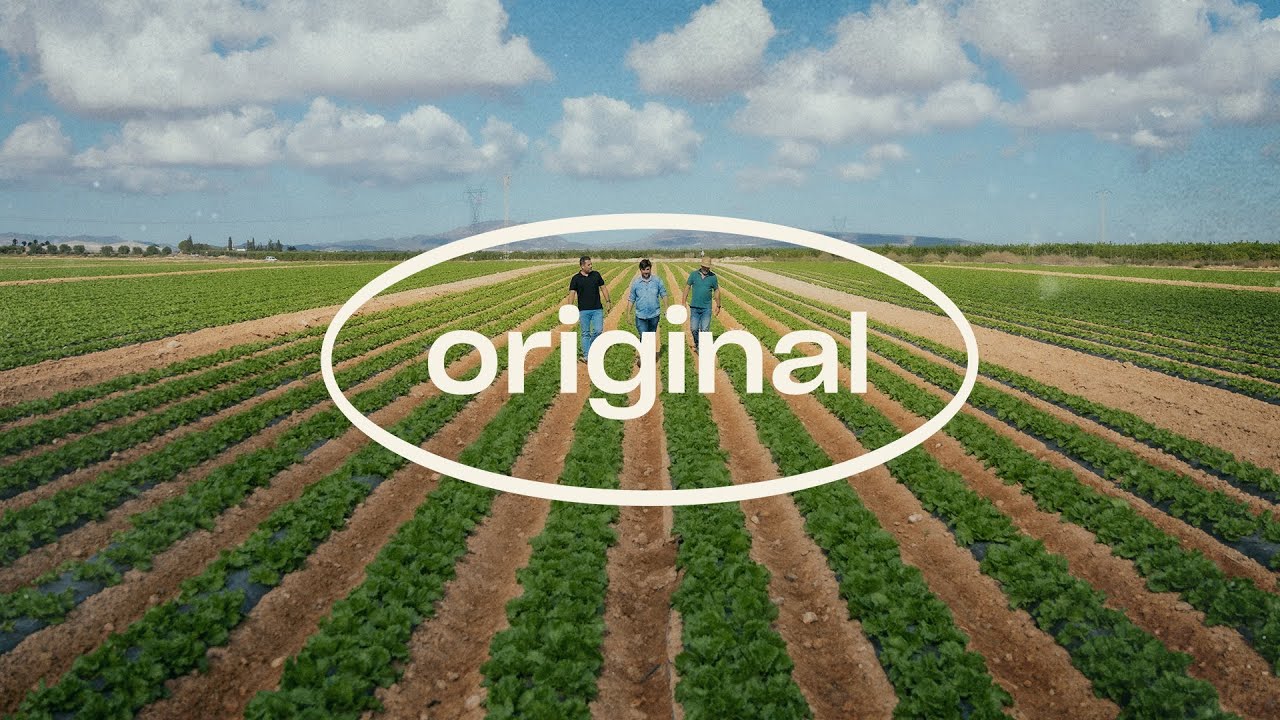 Video preview poster