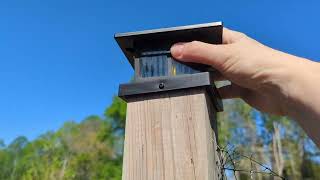 You Must See How Bright & Beautiful These Solar Post Cap Lights Are! 💡