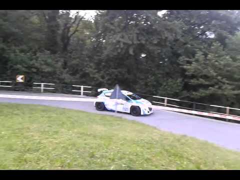 59° Rally Coppa Valtellina 2015_ Ps7 Castello 2_ STAGNI Mario - ROCCHI Silvia_ PEUGEOT 208 R5