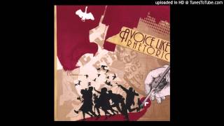 A Voice Like Rhetoric -  Your New Disco-Tech