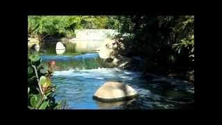 Guided Meditation for Love and Positivity