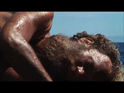 Cast Away  Chuck Noland Found by ship