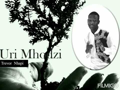 Trevor Dayvis Nhapi Uri Mhodzi