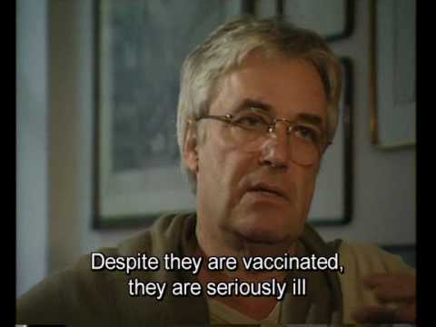 Żuławski o żuławskim