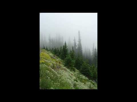 [FREE] h jeunecrack + 8ruki type beat - "une gorgée" (p. 6min)