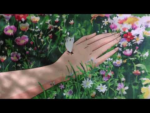 FLOWERS IN MY SOUL - zamir