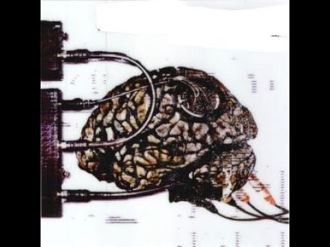 Pardonax & B-Shock - Know Your Shit