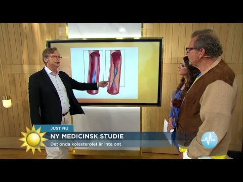 Ny medicinsk studie: ”Onda kolesterolet inte farligt” - Nyhetsmorgon (TV4)