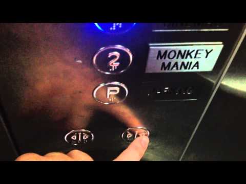 ThyssenKrupp MRL Traction Lift @ Event Cinemas, Top Ryde City