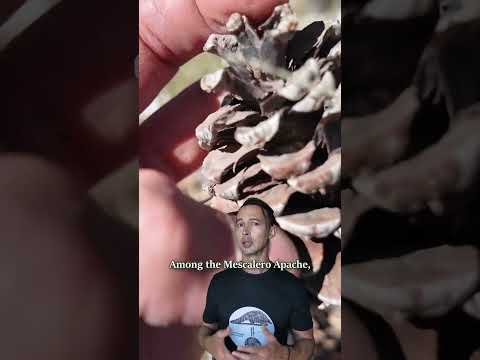 Frederick Coville: The Father of American Berry Breeding | Golden Age