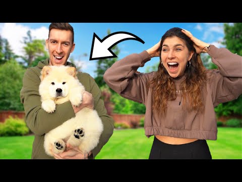 CELINE VERRASSEN MET EEN PUPPY! 🐶 #236