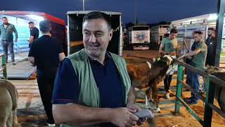 #DEVELİ BELEDİYESİ CANLI HAYVAN PAZARI .!!! 14 TEMMUZ #İNEK #TOSUN #DÜVE Güncel 