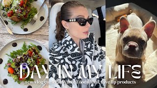 New Vlogging Camera, Current Favorite Lip Products, Whole Foods Haul Jersey City Vlog