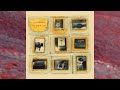 Electrelane - Gone Under Sea