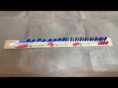 Die Erregungsleitung im Modell