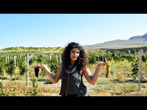 Անի Քալաֆյան