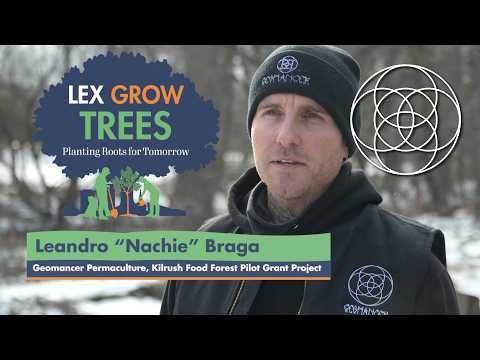 Lex Grow Trees: Urban Forests as Social Infrastructure (2025)