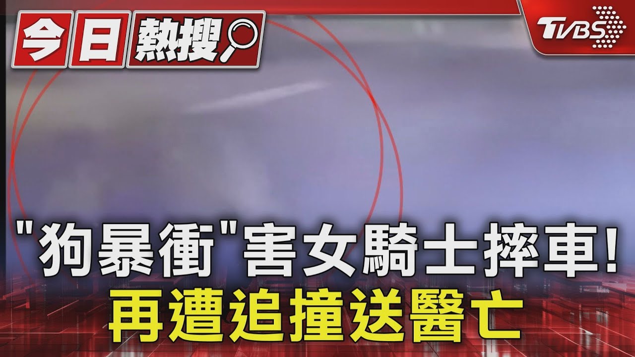 「狗暴衝」害女騎士摔車!再遭追撞送醫亡