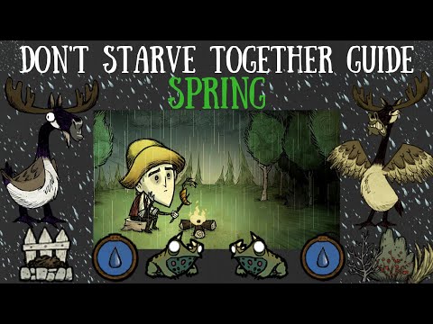 Don't Starve Together Guide: Spring