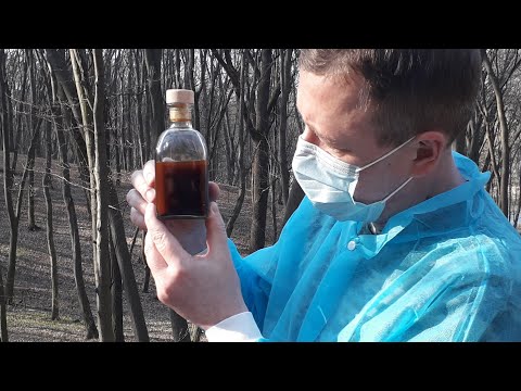 Гриб ЧАГА - 300 грамм, в виде порошка. - фото 3 - id-p2282095875